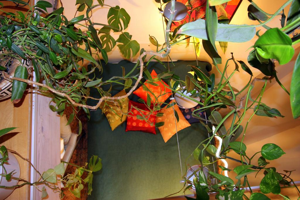 A Am Burgberg Apartment